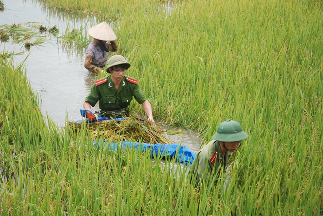 Quân dân như cá với nước