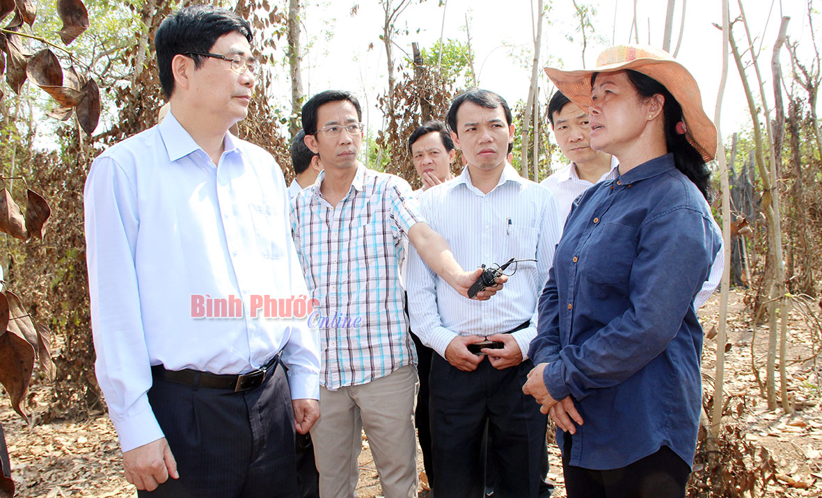 Bộ Trưởng Cao Đức Ph&aacute;t &acirc;n c&acirc;n thăm hỏi động vi&ecirc;n c&aacute;c hộ d&acirc;n bị ảnh hưởng do thi&ecirc;n tai