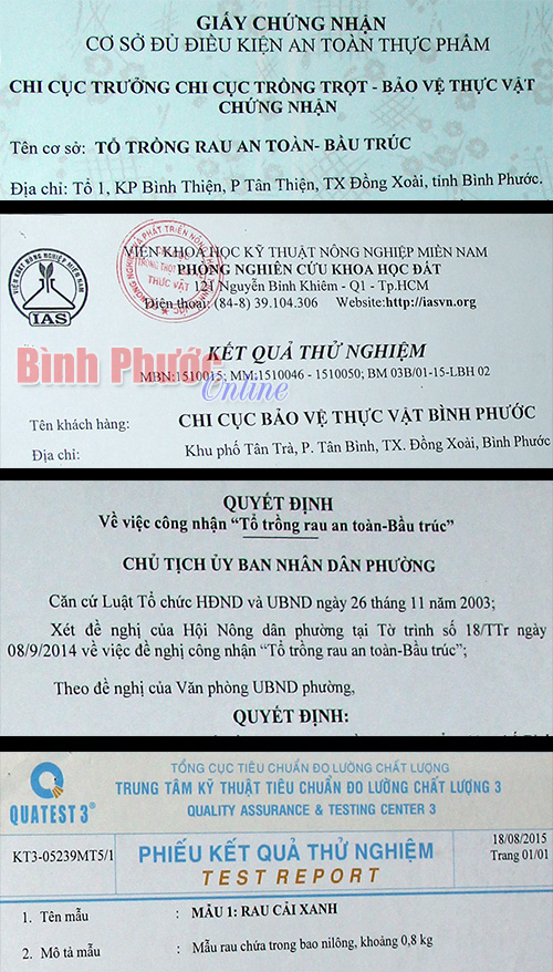 Để có được giấy chứng nhận rau an toàn, người trồng phải bỏ ra nhiều chi phí và thời gian để có đầy đủ thủ tục pháp lý cần thiết