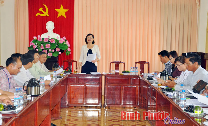 Đồng ch&iacute; Trần Tuyết Minh, Ủy vi&ecirc;n Ban Thường vụ, Trưởng ban Tuy&ecirc;n gi&aacute;o Tỉnh ủy, Trưởng ban Văn h&oacute;a - X&atilde; hội HĐND kết luận tại buổi l&agrave;m việc với Sở Lao động - Thương binh v&agrave; X&atilde; hội 