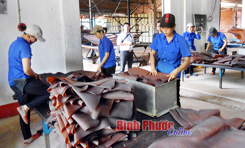 Xưởng sản xuất mủ tờ RSS và sản phẩm mới độc quyền RSS1 CV của cao su Lộc Ninh