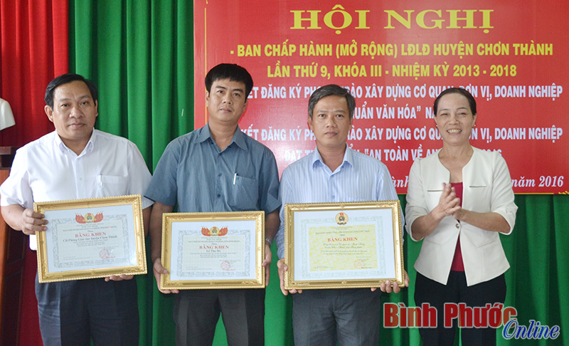 B&agrave; Nguyễn Thị Mai, Chủ nhiệm Ủy ban kiểm tra LĐLĐ tỉnh trao tặng bằng khen của Tổng LĐLĐ Việt Nam cho c&aacute;c c&aacute; nh&acirc;n đạt xuất sắc năm 2015