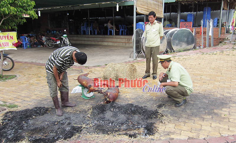 Đồng Xoài: Thực phẩm “Heo mẹt quán” không rõ nguồn gốc