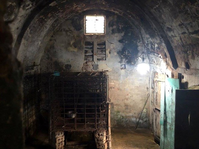 Khu vực cá thể gấu chọ bị nuôi nhốt. 