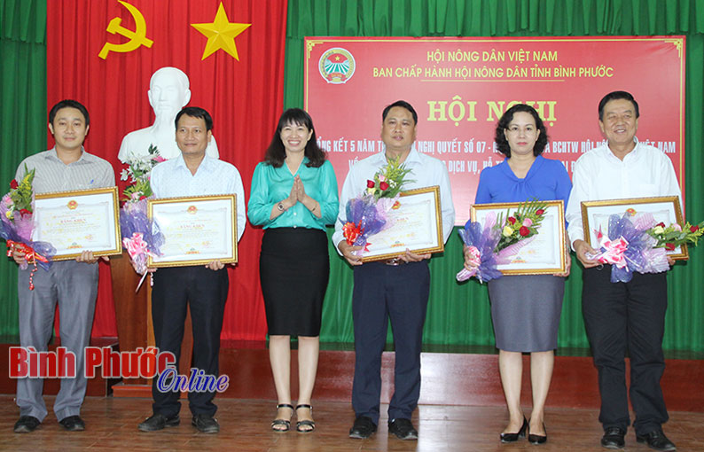 Chủ tịch Hội Nông dân tỉnh Đào Thị Lanh trao bằng khen của UBND tỉnh cho các cá nhân có thành tích xuất sắc