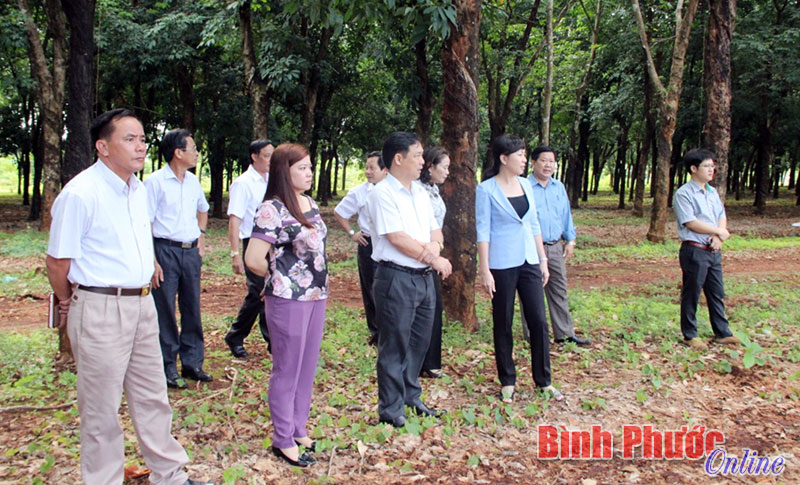 Đoàn có buổi làm việc với UBND xã Thanh Bình và kiểm tra thực hiện các tiêu chí xây dựng nông thôn mới