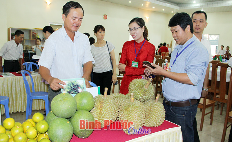 Kết nối cung