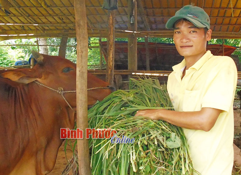 Làm giàu từ những việc đơn giản