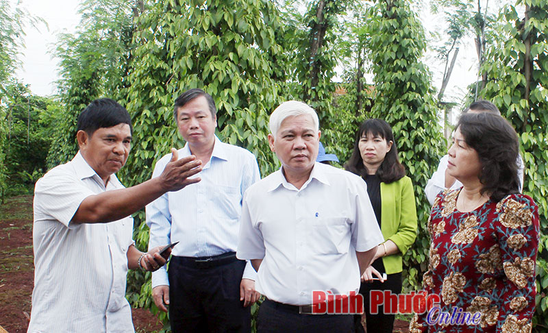 Đồng chí Nguyễn Văn Lợi, Ủy viên Trung ương Đảng, Bí thư Tỉnh ủy cùng đoàn công tác của tỉnh đi thăm mô hình tưới tiêu nhỏ giọt của hộ ông Hoàng Công Hạ