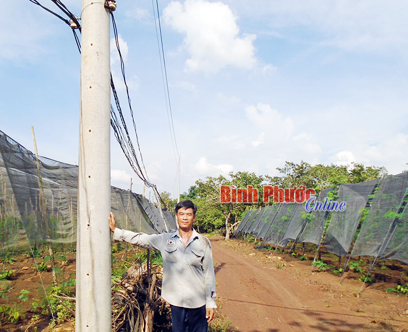 Để giúp 45 hộ dân tổ 4 có điện, ông Chiến và ông Đông ở tổ 3 đã hiến đất cho đường điện đi qua 500m