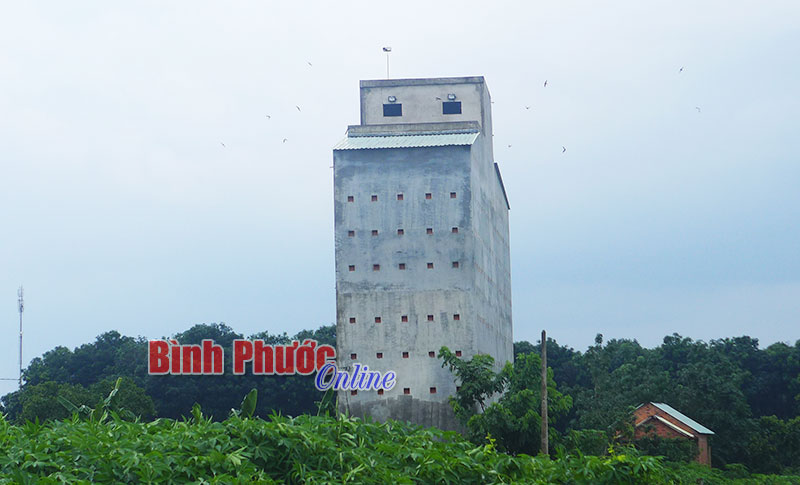 1/76 cơ sở nuôi chim yến khai báo cơ quan chức năng - Binh Phuoc ...