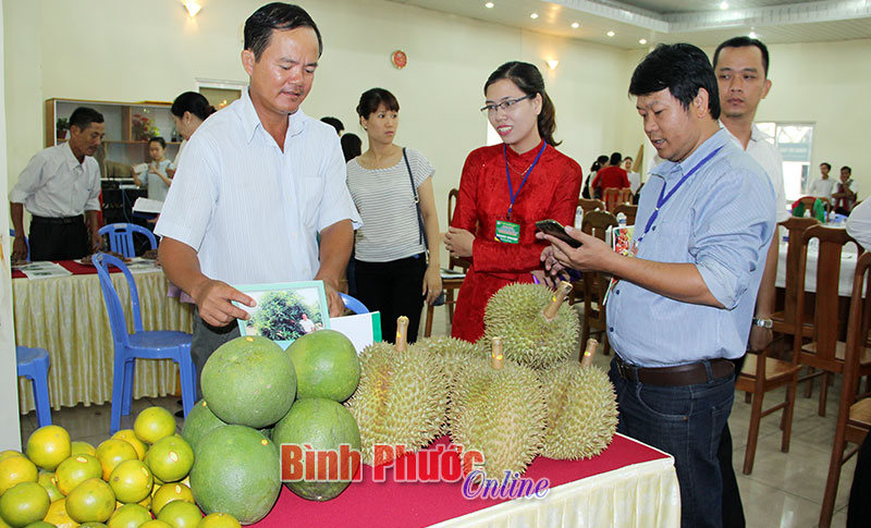 Nông nghiệp Bình Phước: Cần quy hoạch tổng thể