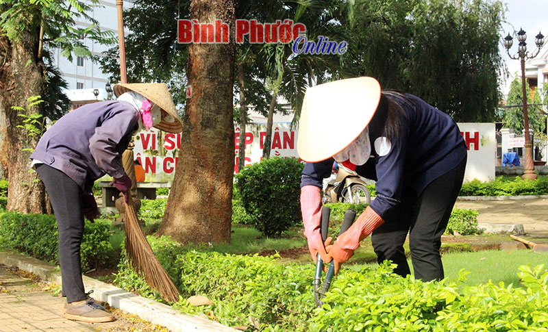 Công nhân tổ cây xanh cắt tỉa cây tại hoa viên phường Thác Mơ