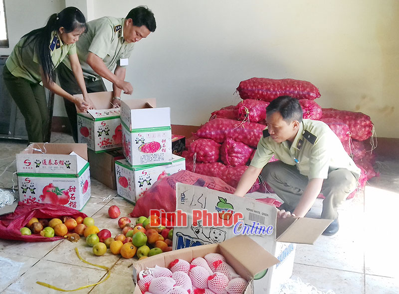 Đội quản lý thị trường số 3 huyện Bù Đăng kiểm kê trái cây Trung Quốc không rõ nguồn gốc