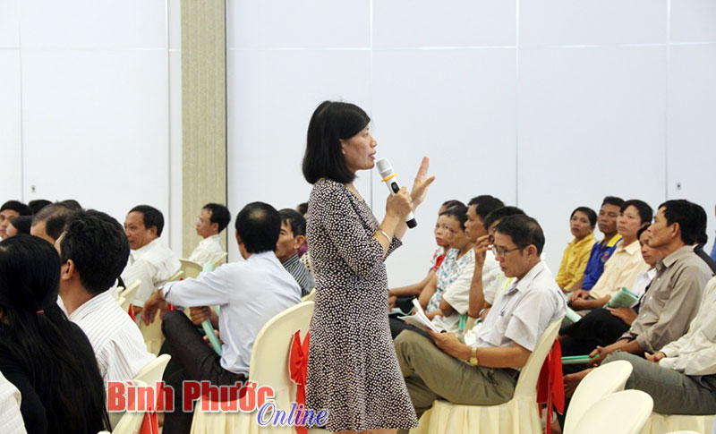 Bà Phạm Thu Hương phổ biến kiến thức phòng chống bạo lực gia đình cho hội viên nông dân