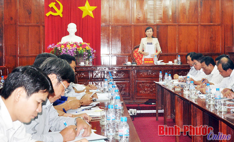 Ph&oacute; chủ tịch UBND tỉnh Huỳnh Thị Hằng kết luận tại buổi l&agrave;m việc