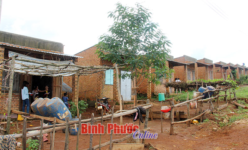 Các hộ dân ở khu định canh, định cư xã Đồng Nai (Bù Đăng) còn nhiều khó khăn trong sản xuất nông nghiệp và sinh hoạt