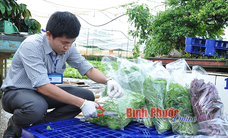 An toàn thực phẩm