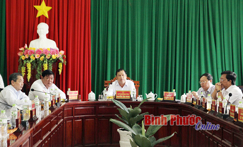 Chủ tịch UBND tỉnh Nguyễn Văn Trăm chỉ đạo tại buổi l&agrave;m việc