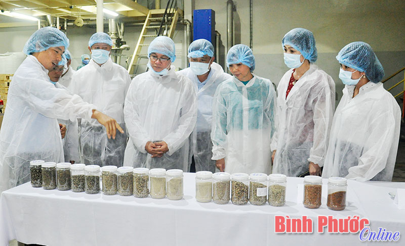 Đồng chí Bí thư Tỉnh ủy Nguyễn Văn Lợi cùng đoàn công tác của tỉnh tham quan dây chuyền chế biến của Công ty Nedspice tại Bình Dương