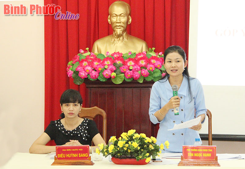 Ph&oacute; đo&agrave;n Đại biểu Quốc hội T&ocirc;n Ngọc Hạnh ph&aacute;t biểu tại hội nghị