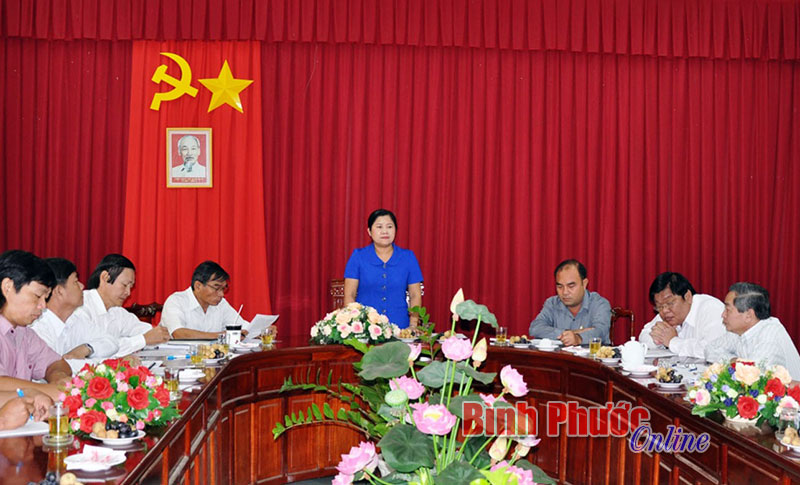 Đồng ch&iacute; Trần Tuệ Hiền, Ph&oacute; b&iacute; thư thường trực Tỉnh ủy ph&aacute;t biểu tại buổi l&agrave;m việc