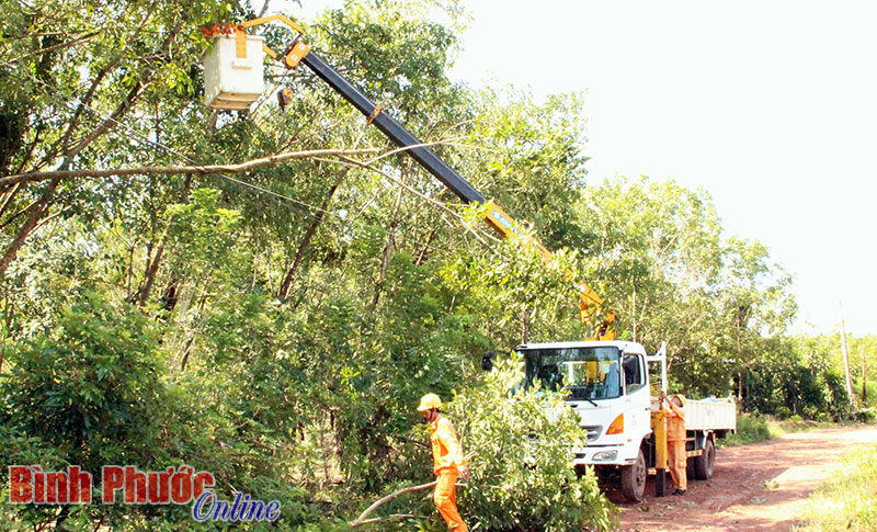 Đồng Xoài khắc phục hậu quả mưa, lốc