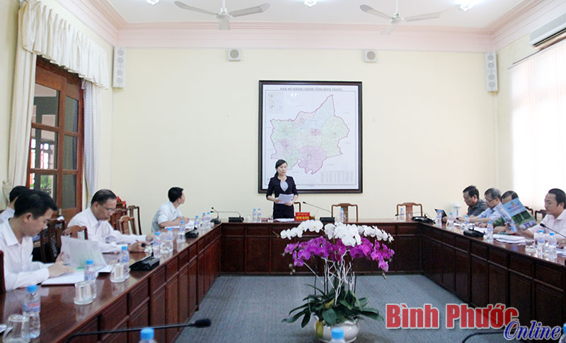 Phó chủ tịch UBND tỉnh Huỳnh Thị Hằng chủ trì cuộc họp