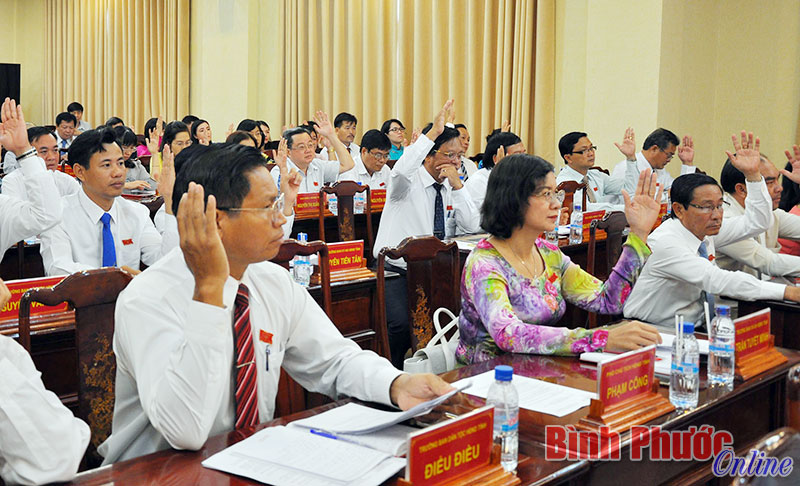 C&aacute;c đại biểu biểu quyết th&ocirc;ng qua Nghị quyết dự thảo nghị quyết ban h&agrave;nh quyết định về ch&iacute;nh s&aacute;ch đối với quỹ đất n&ocirc;ng nghiệp t&aacute;ch ra khỏi l&acirc;m phần theo quy hoạch 3 loại rừng tr&ecirc;n địa b&agrave;n tỉnh