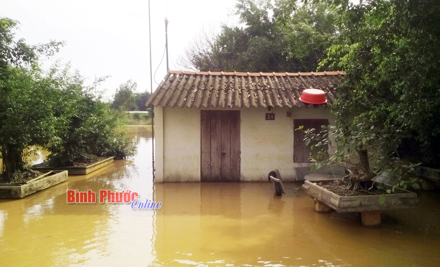 Nhà cửa, rau màu của các hộ dân ngập chìm trong nước