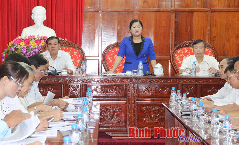 Đồng ch&iacute; Trần Tuệ Hiền, Ph&oacute; b&iacute; thư thường trực Tỉnh ủy, Chủ tịch HĐND tỉnh ph&aacute;t biểu tại buổi l&agrave;m việc