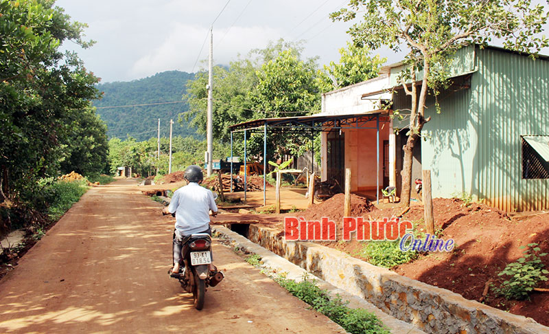 Con đường NTM dẫn vào thôn Phước Quả 