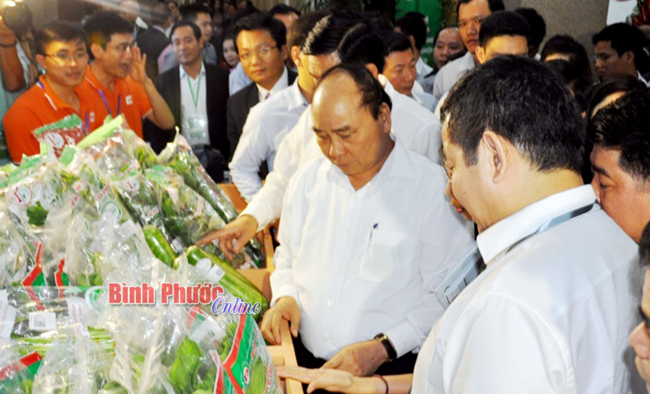 Thủ tướng Chính phủ tham quan gian hàng rau sạch trưng bày tại hội nghị 