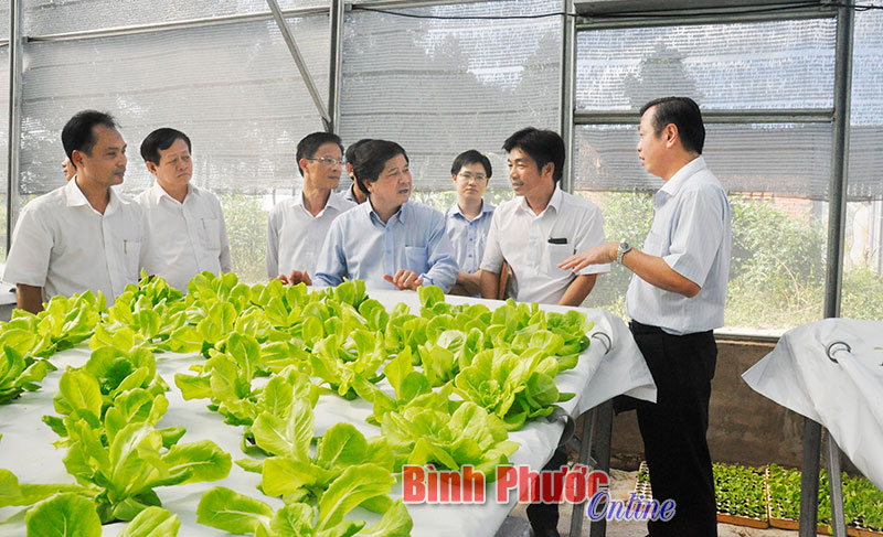Đồng chí Thứ trưởng Bộ NN&PTNT Lê Quốc Doanh (thứ 4 từ trái qua) thăm Trung tâm Giống công nghệ cao tại xã Tân Thành, thị xã Đồng Xoài