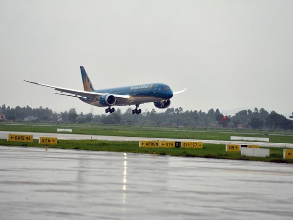 Hai máy bay Vietnam Airlines bị chim va vào động cơ khi hạ cánh