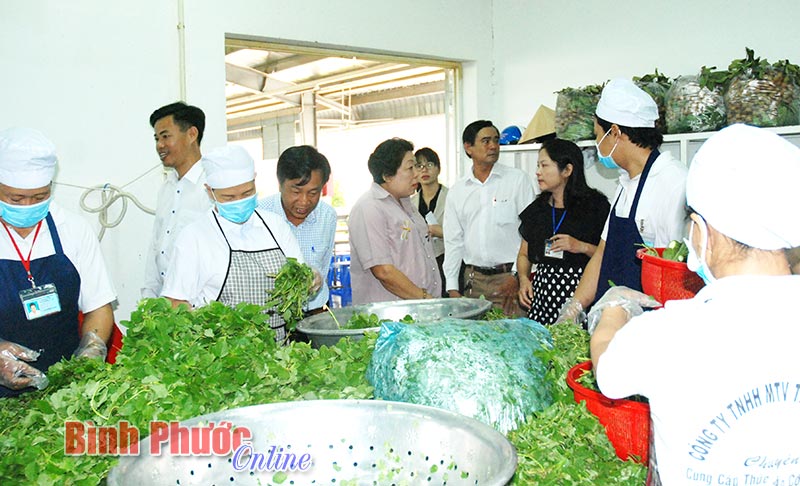 Chung tay vì vệ sinh an toàn thực phẩm