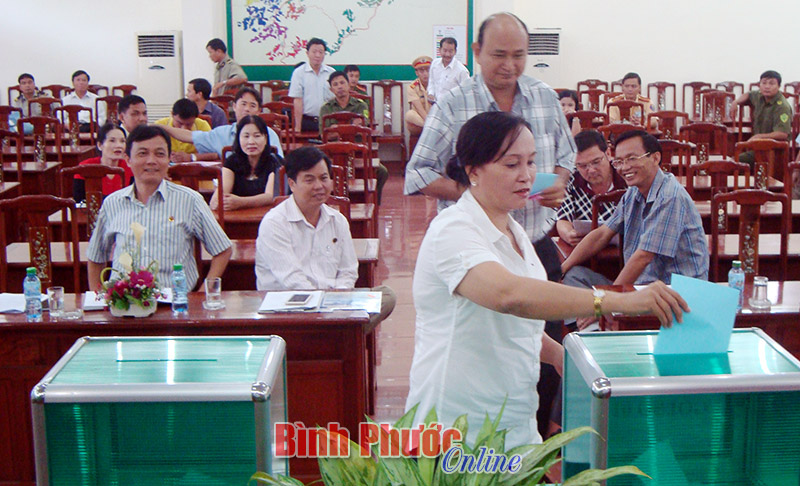 Đấu giá cao su thanh lý vượt 13,55 tỷ đồng so với giá khởi điểm