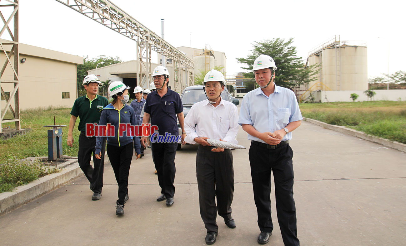 Phó chủ tịch UBND tỉnh Huỳnh Anh Minh cùng đoàn công tác tỉnh Quảng Trị tham quan Công ty cổ phần gỗ MDF VRG Dongwha