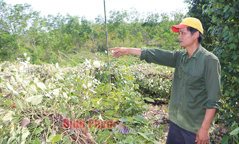 Công an huyện Hớn Quản hỗ trợ người dân khắc phục hậu quả thiên tai