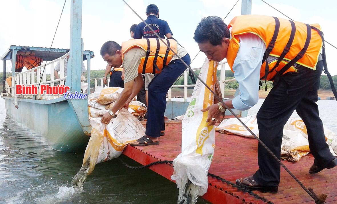 Cán bộ Trung tâm thủy sản tỉnh và Hội nông dân xã Phú Văn thả cá tại lòng hồ thủy điện Thác Mơ