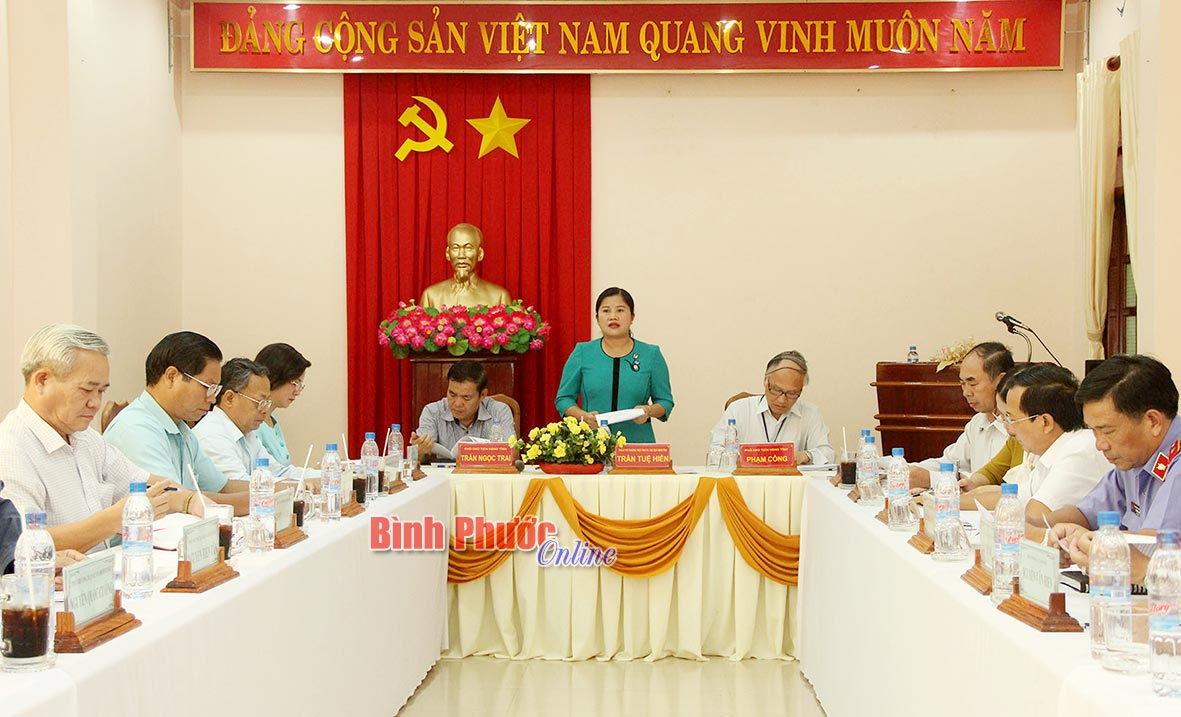 Đồng ch&iacute; Trần Tuệ Hiền, Ph&oacute; b&iacute; thư Thường trực Tỉnh ủy, Chủ tịch HĐND tỉnh ph&aacute;t biểu chỉ đạo tại hội nghị