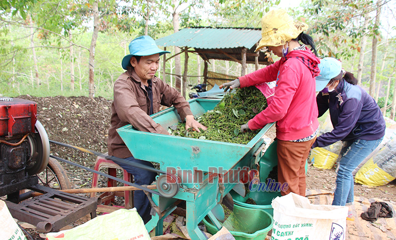 Nhà nông lập nghiệp