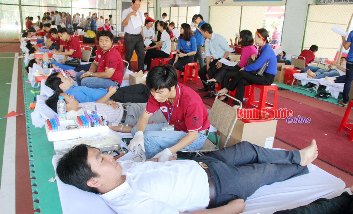 Trong quý 1, các cấp hội chữ thập đỏ đã tổ chức 11 đợt vận động, tiếp nhận và  thu 3.634 đơn vị máu 