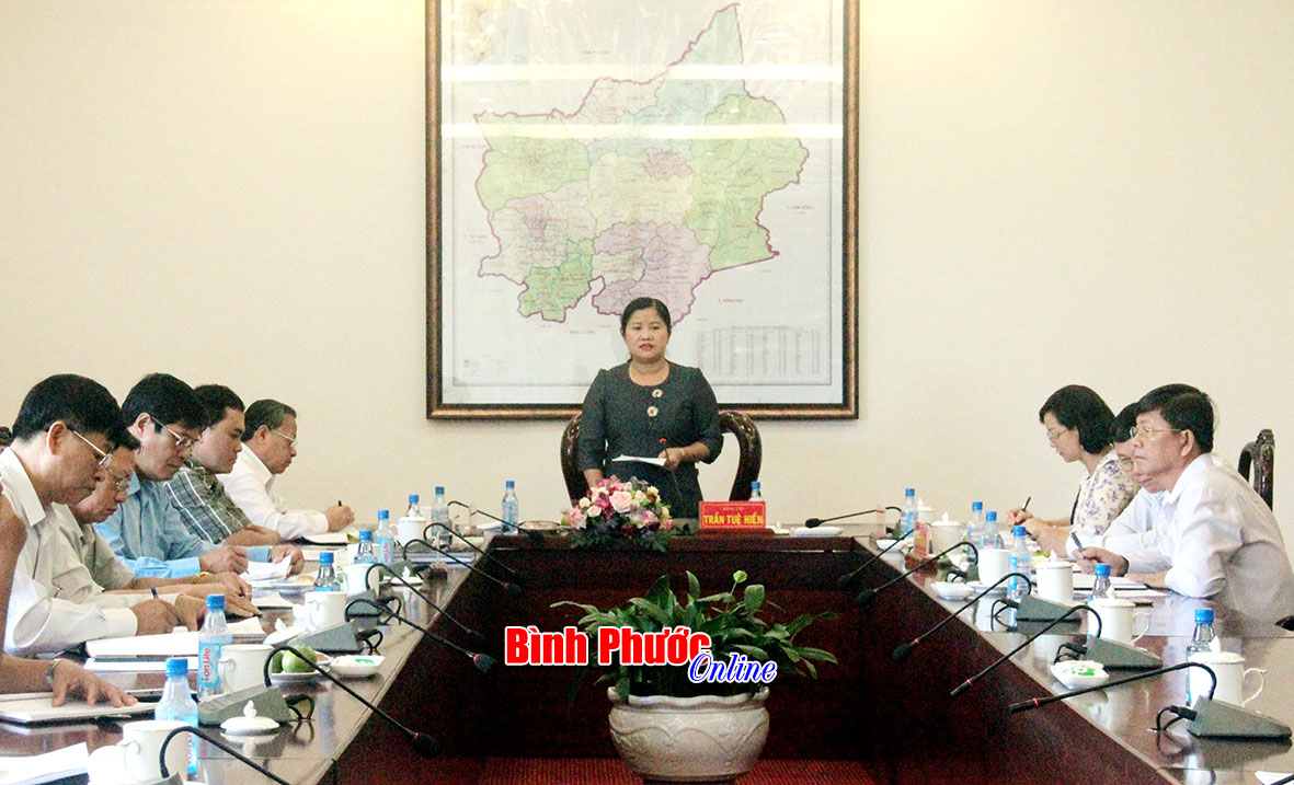 Ph&oacute; b&iacute; thư thường trực Tỉnh ủy Trần Tuệ Hiền ph&aacute;t biểu tại buổi l&agrave;m việc