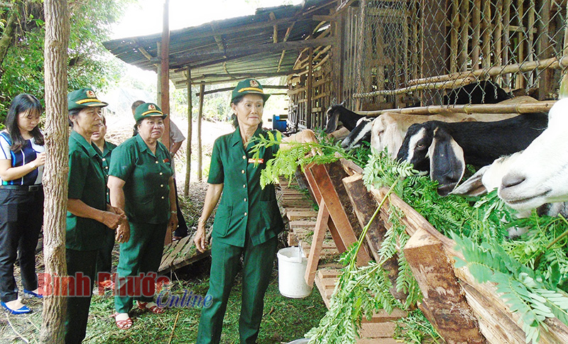 Những câu chuyện cảm động ở Ban liên lạc nữ CCB Lộc Ninh