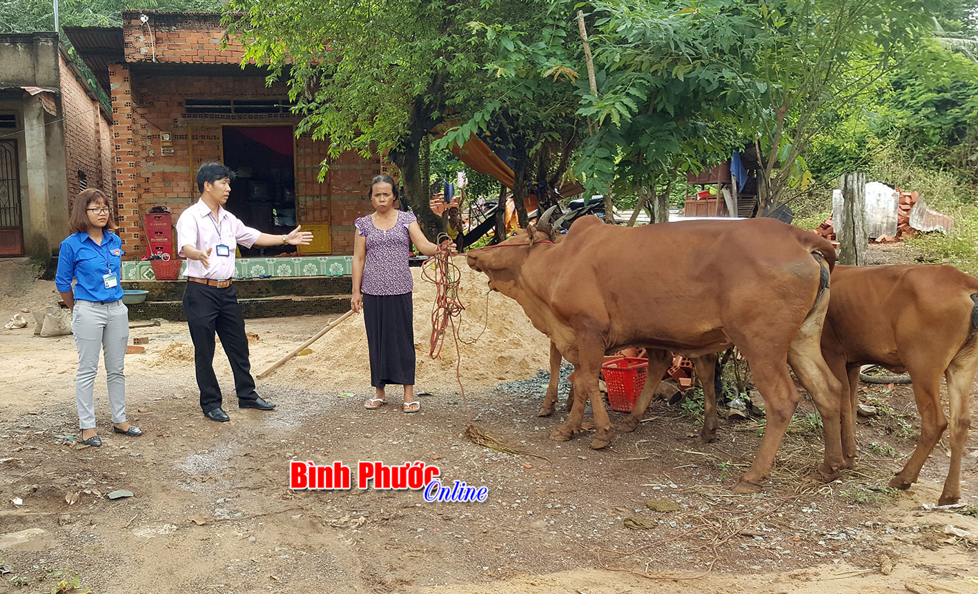 Đại diện lãnh đạo UBND xã An Khương  trao bò cho hộ nghèo dận tộc thiểu số trên địa bàn xã