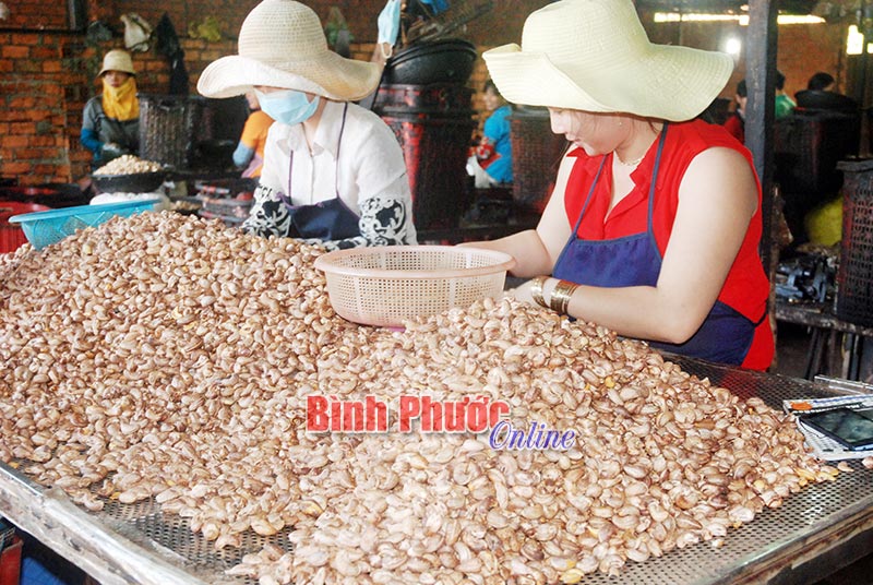 9 tháng, GRDP của tỉnh đạt 6,72%