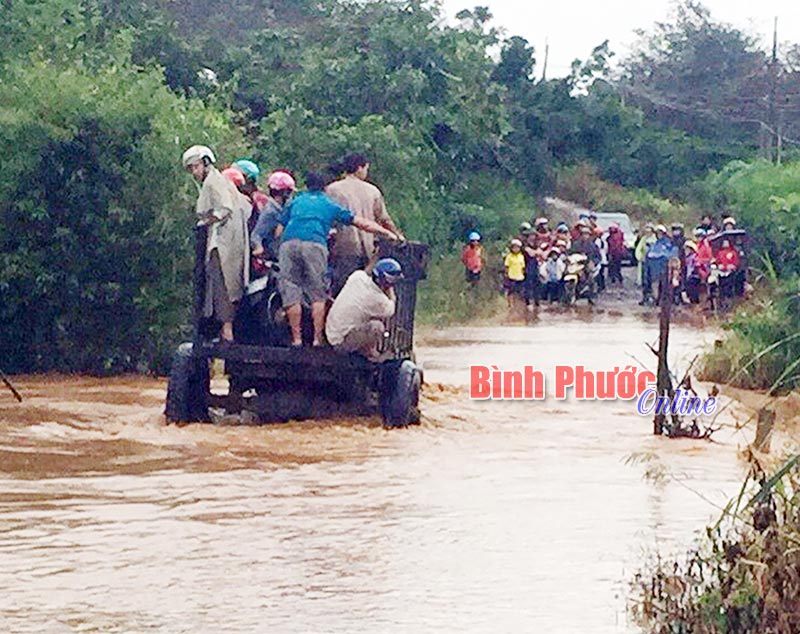 Mưa lớn gây ngập đường liên thôn