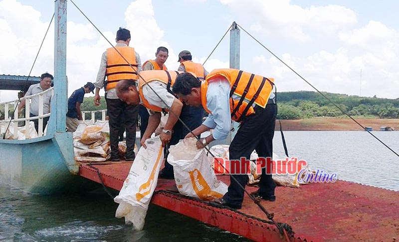 Những vướng mắc trong hoạt động Tổ nghề cá Phú Văn