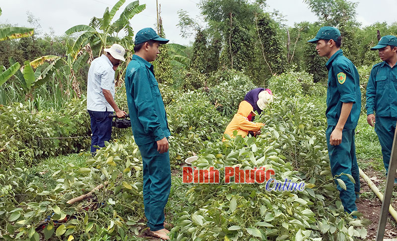 Bù Đốp thiệt hại nặng do lốc xoáy